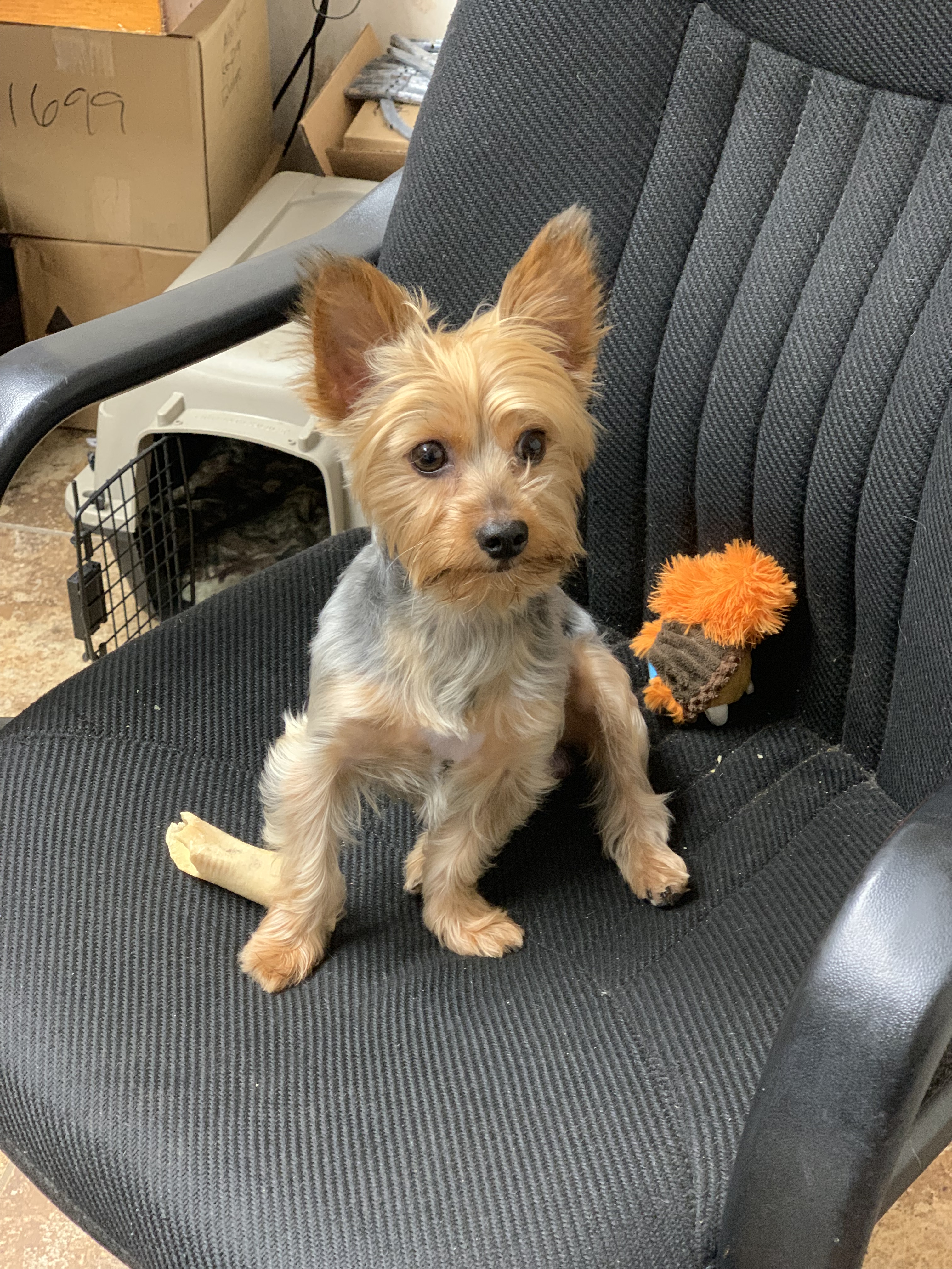 Roscoe Callahan